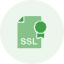 IP Addresses
